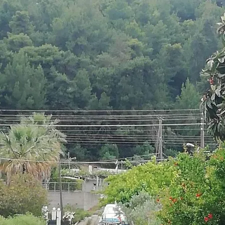αλέξανδρος Διαμέρισμα Κατάκολο